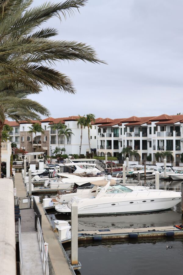 Palmetto Bay