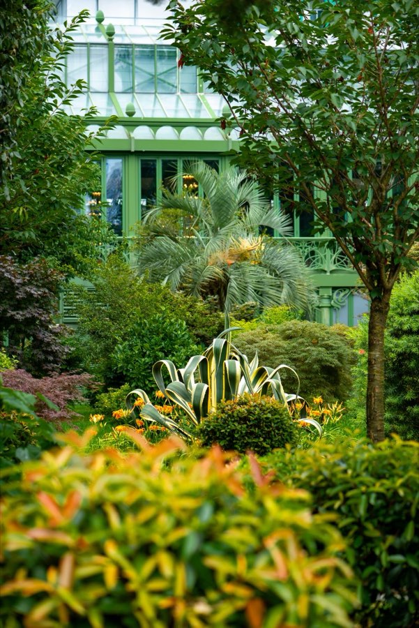 Lush tropical garden in Pinecrest, Miami